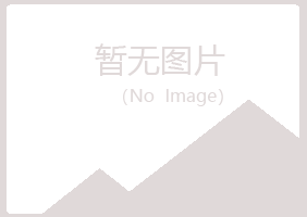 任丘山柳化学有限公司